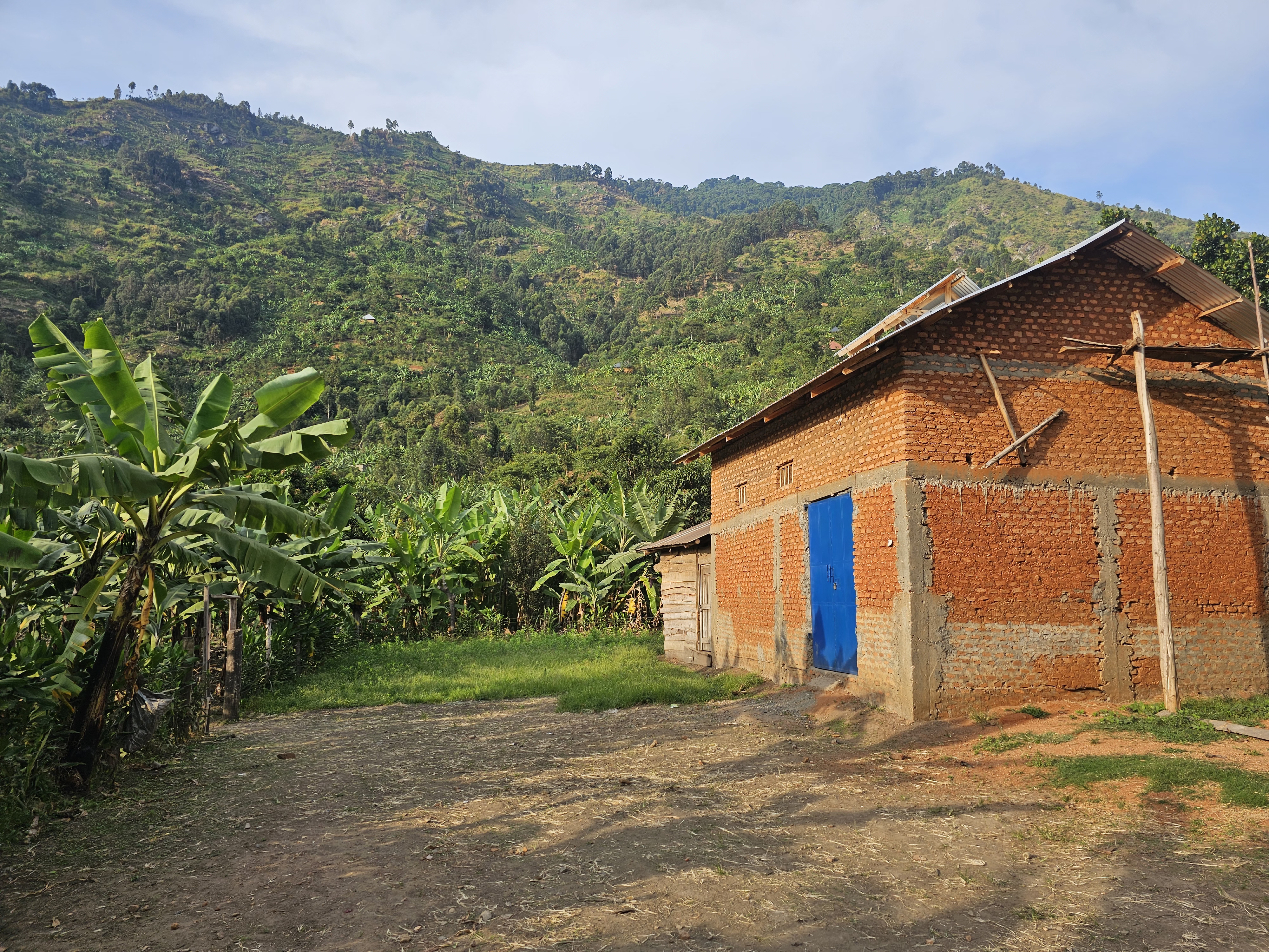 The estate's brick processing building with blue doors, banana groves and terraced hills behind