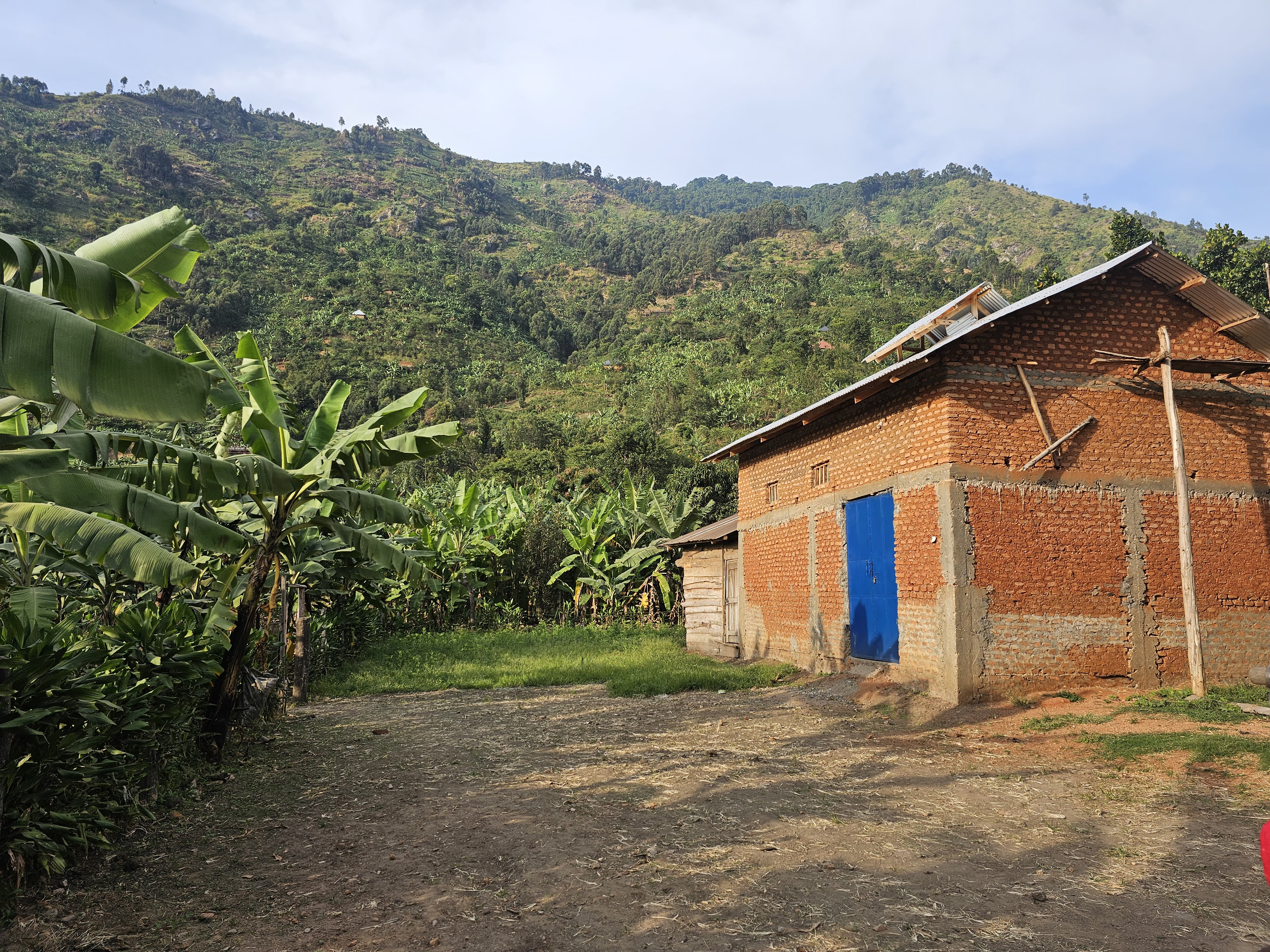 The estate building with its blue doors, set against the green Rwenzori hills