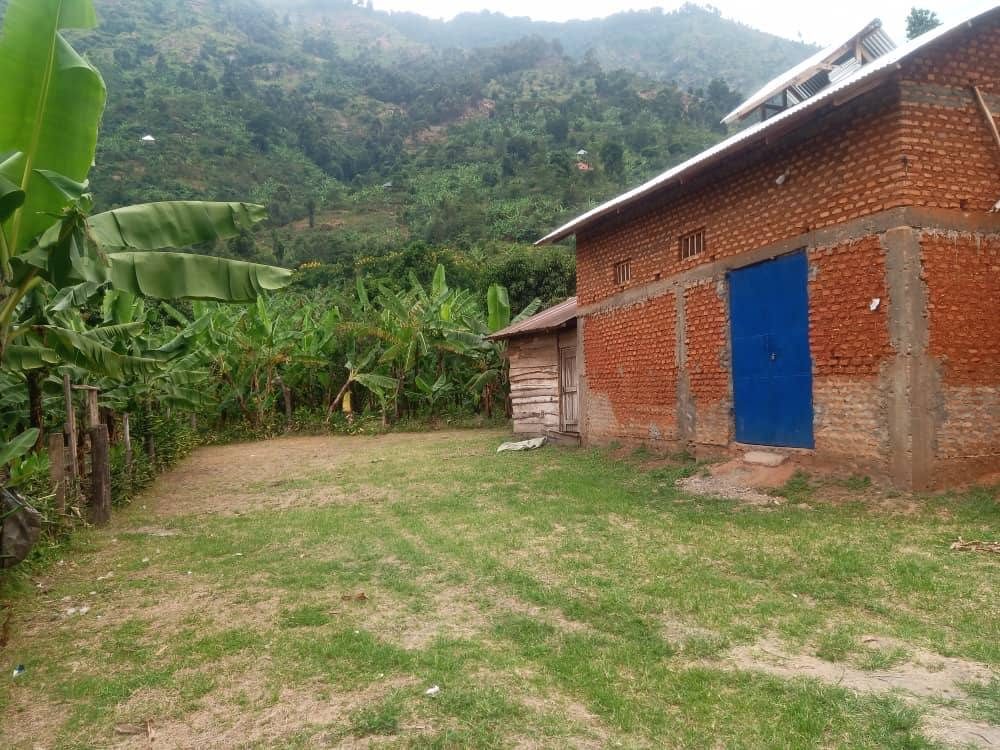 The estate building set against the misty Rwenzori hills