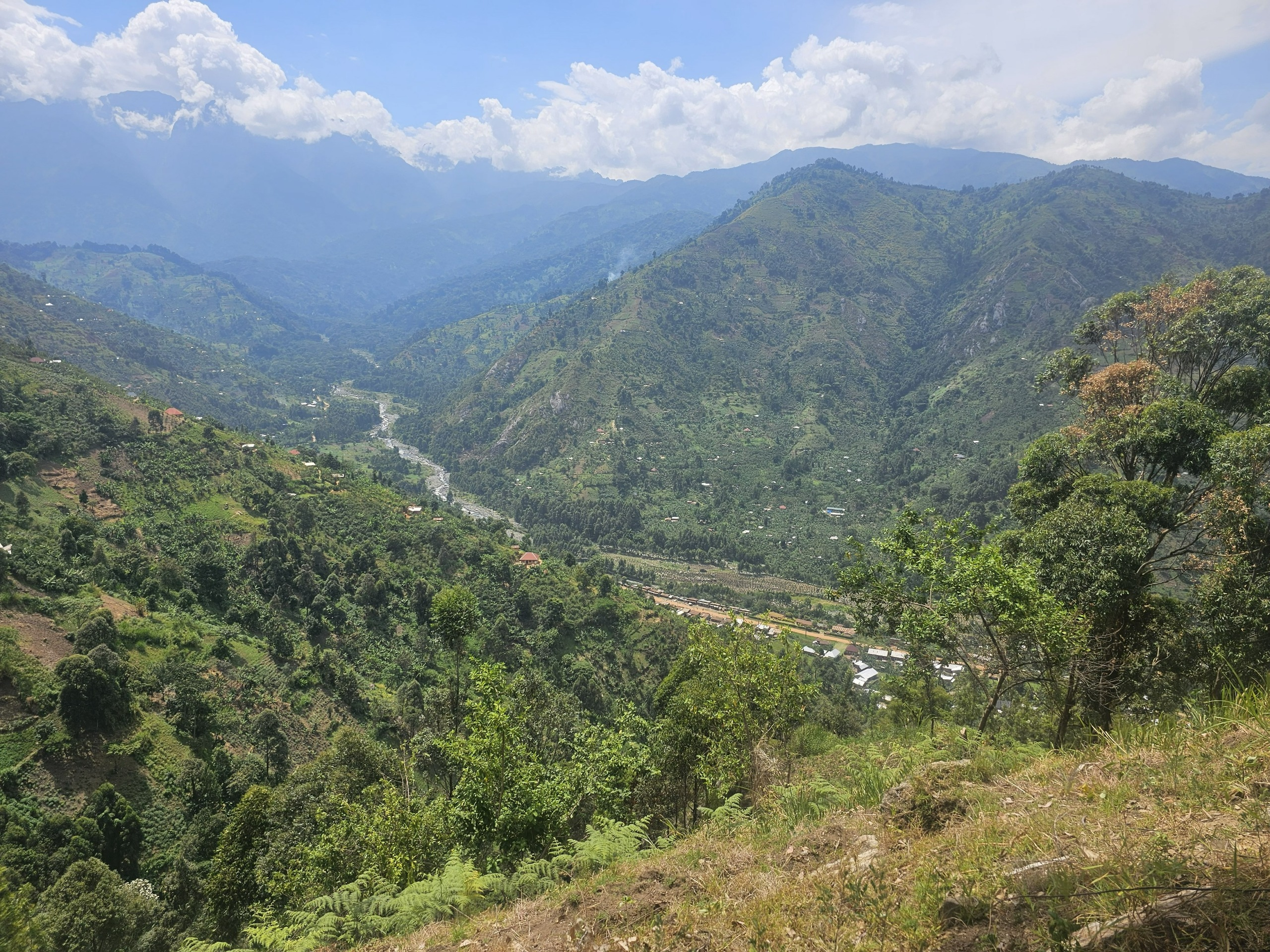 The river valley below the estate with the Rwenzori peaks rising into cloud beyond