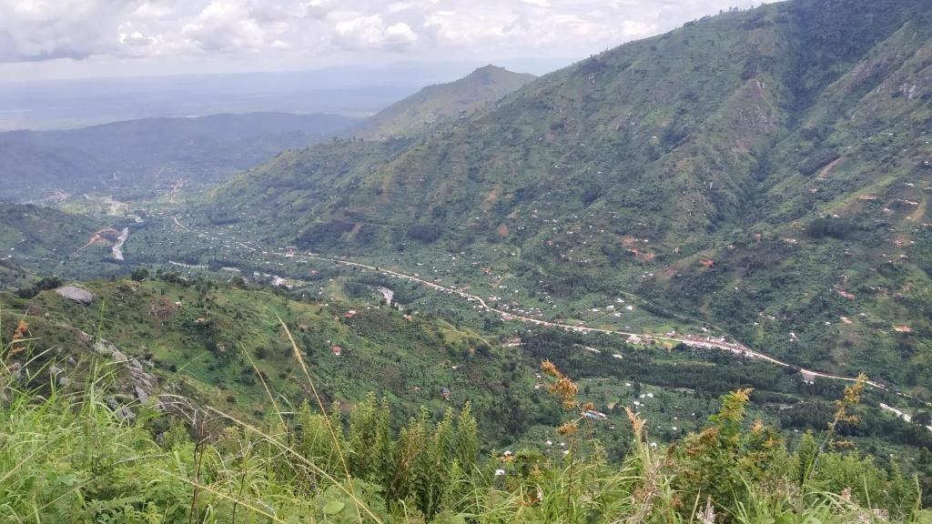 Panoramic view over the Rwenzori valley from the estate, with cultivated hillsides and mountains beyond