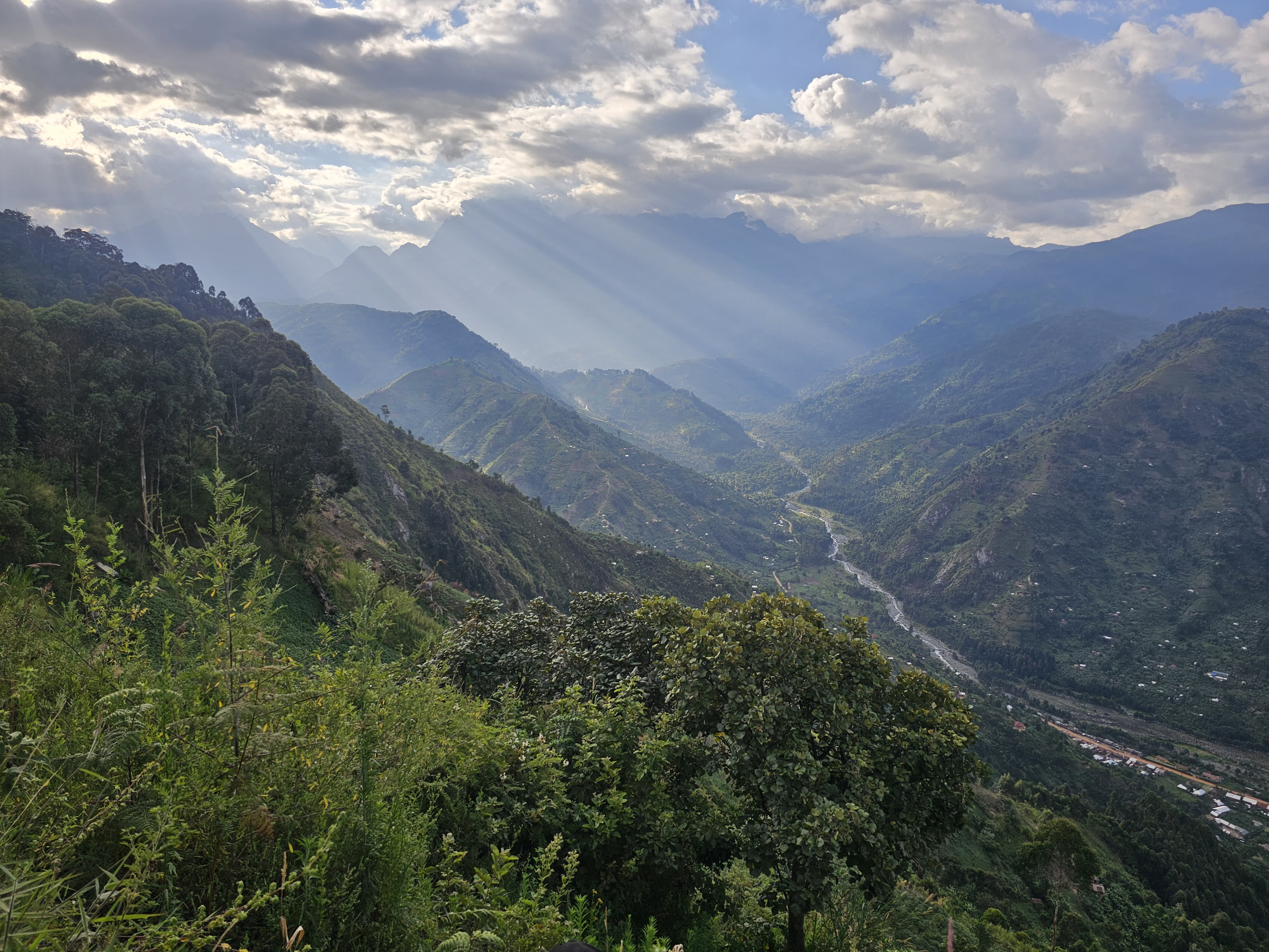 Panoramic view over the Rwenzori valley from the estate, with cultivated hillsides and mountains beyond